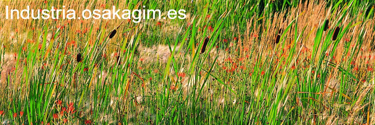 industria.osakagim.es